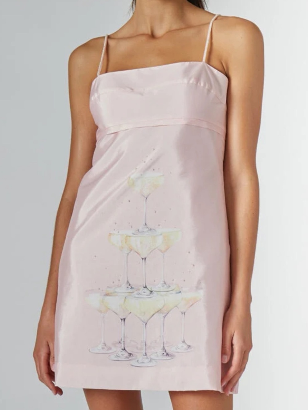 Rachel Antonoff Gwen Dress Champagne Tower